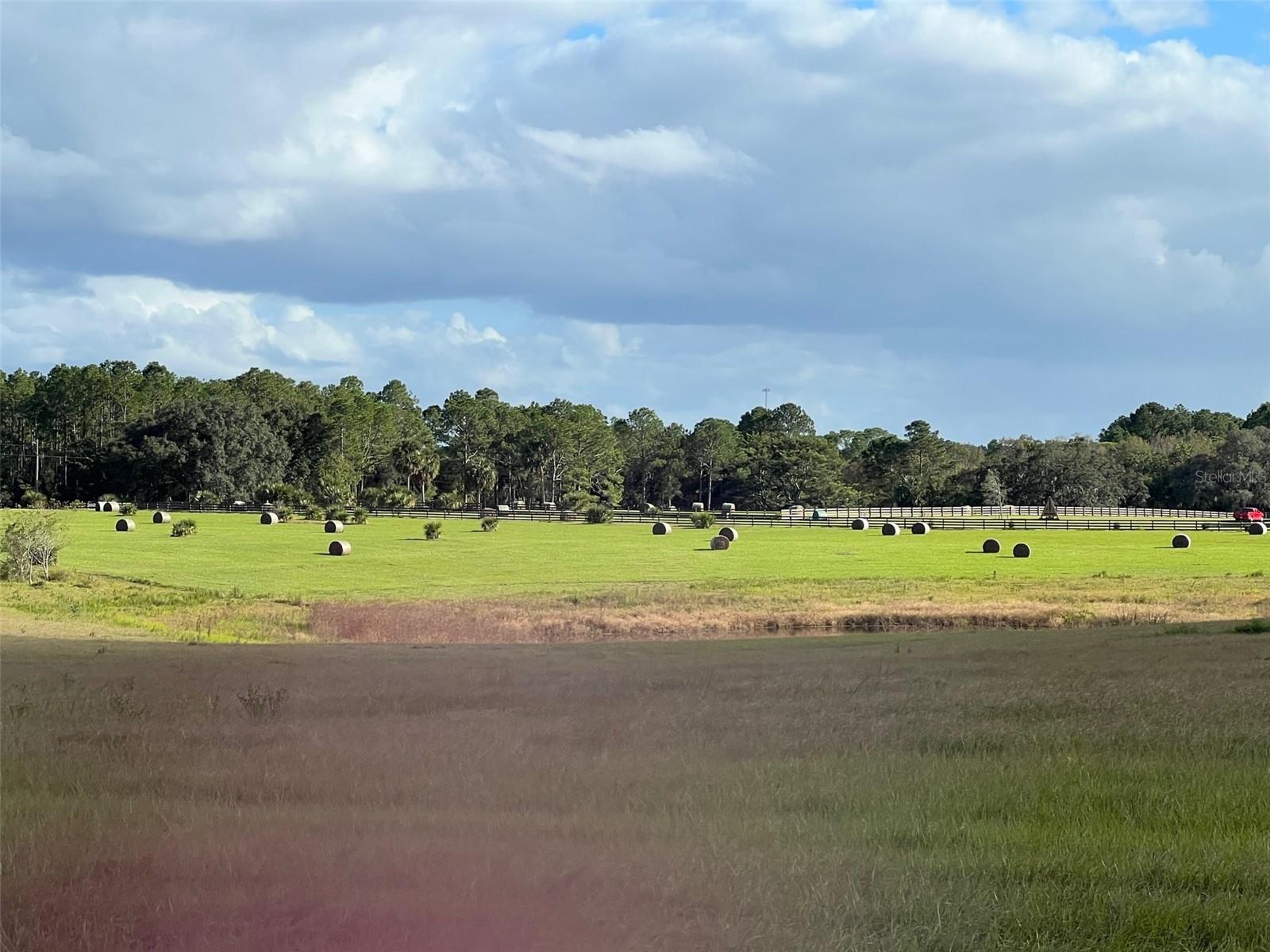 MOSS BLUFF RANCHES - Land