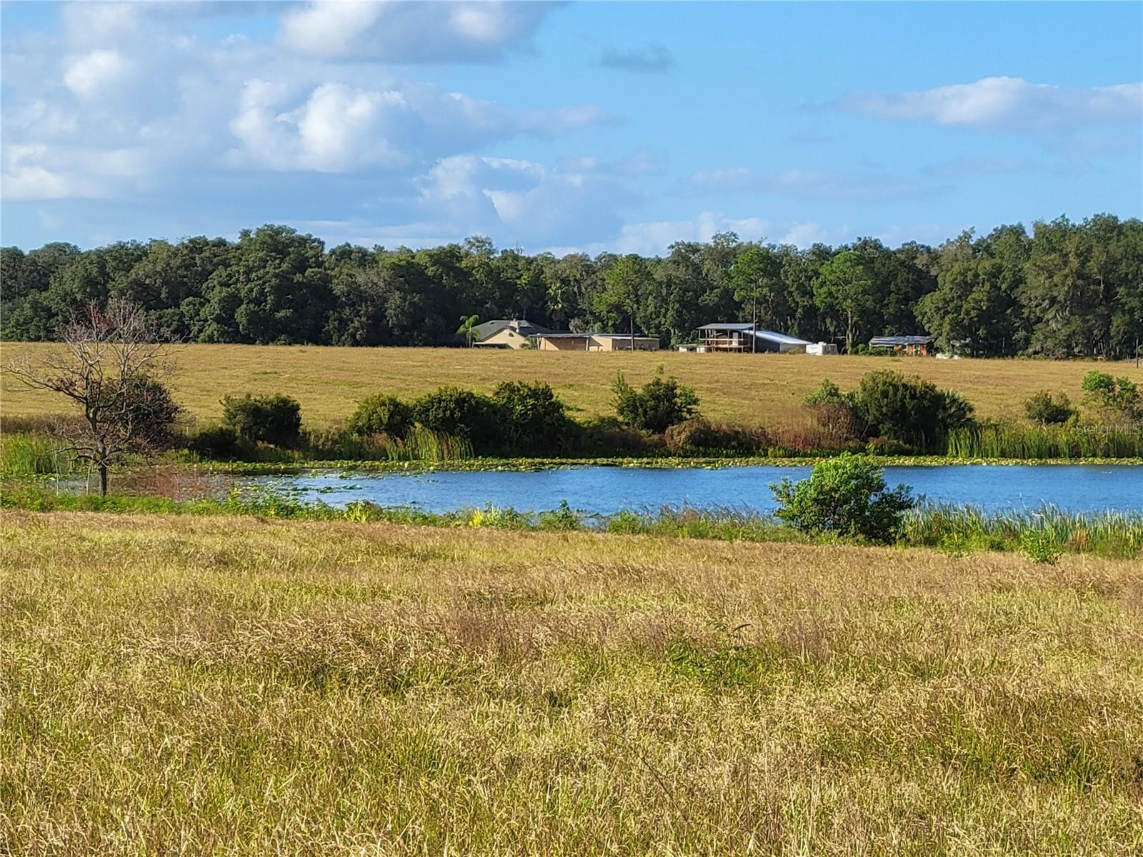 MOSS BLUFF RANCHES - Land