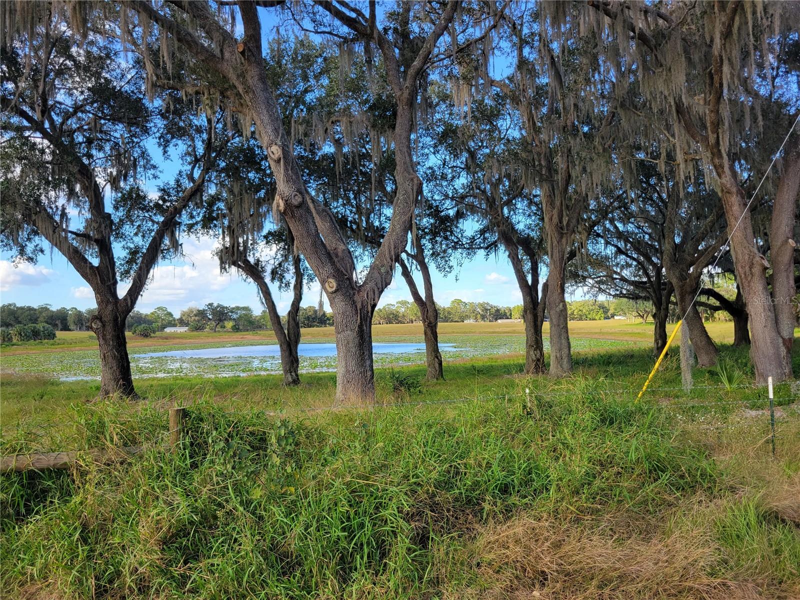 MOSS BLUFF RANCHES - Land