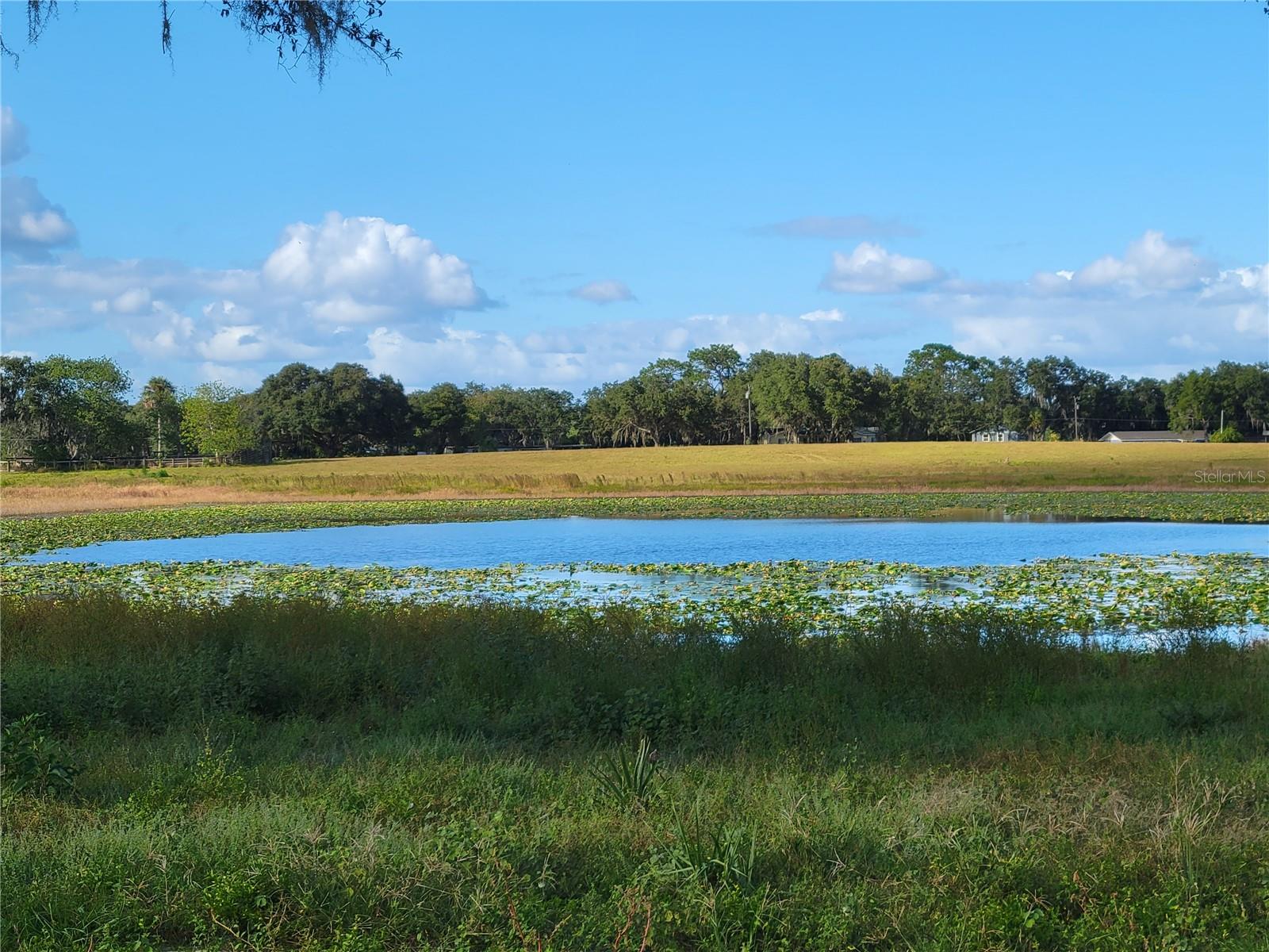 MOSS BLUFF RANCHES - Land