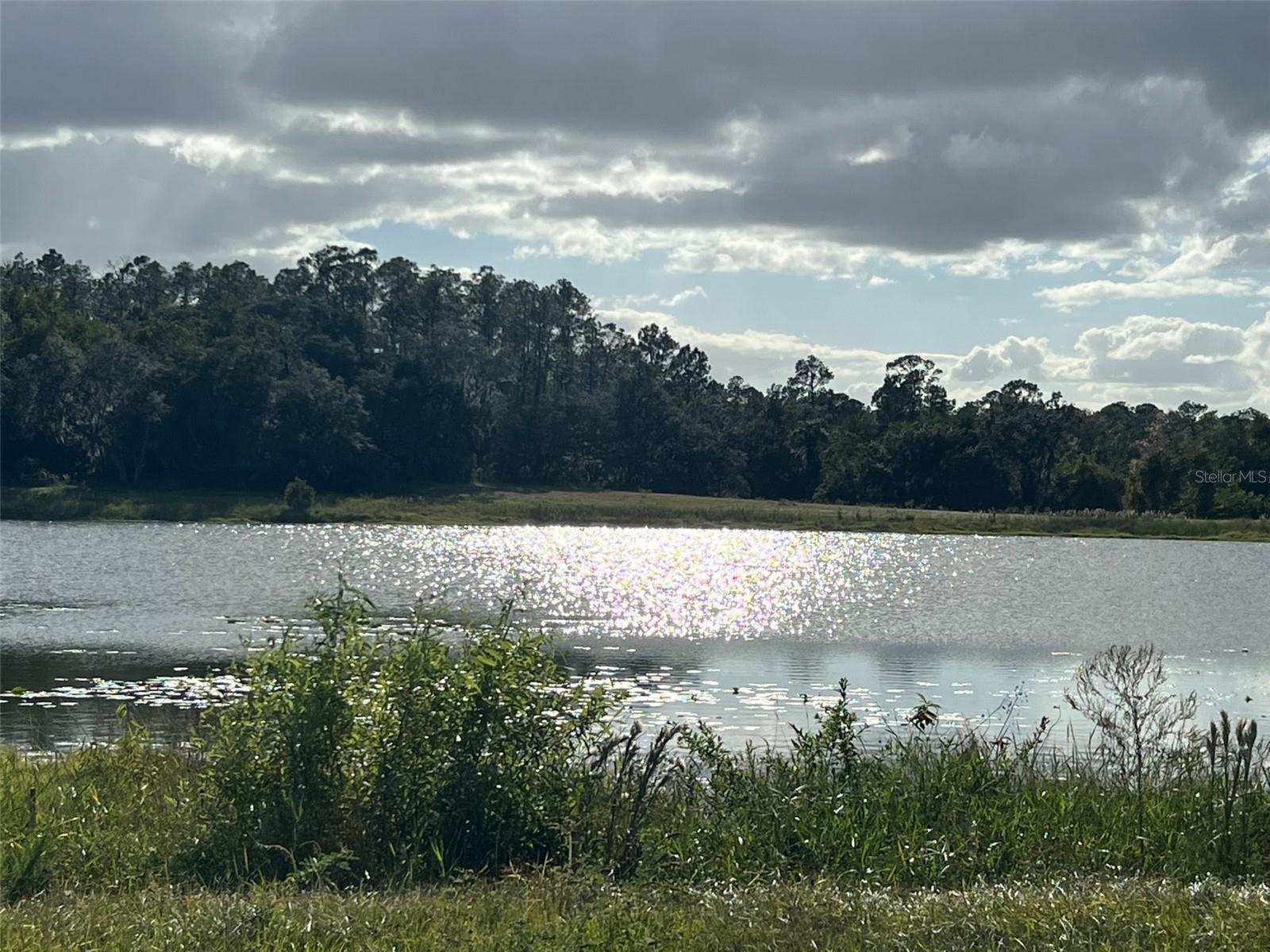 MOSS BLUFF RANCHES - Land