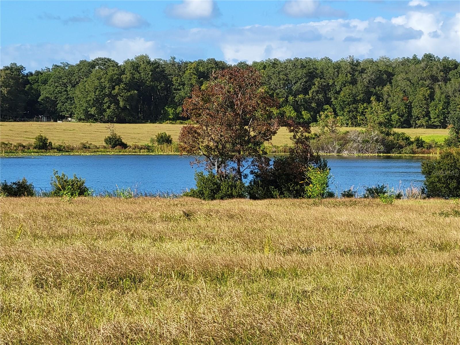 MOSS BLUFF RANCHES - Land
