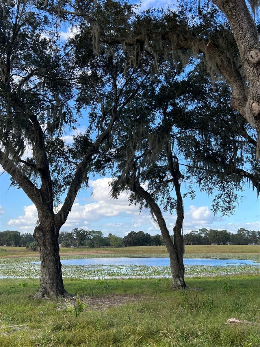 MOSS BLUFF RANCHES - Land