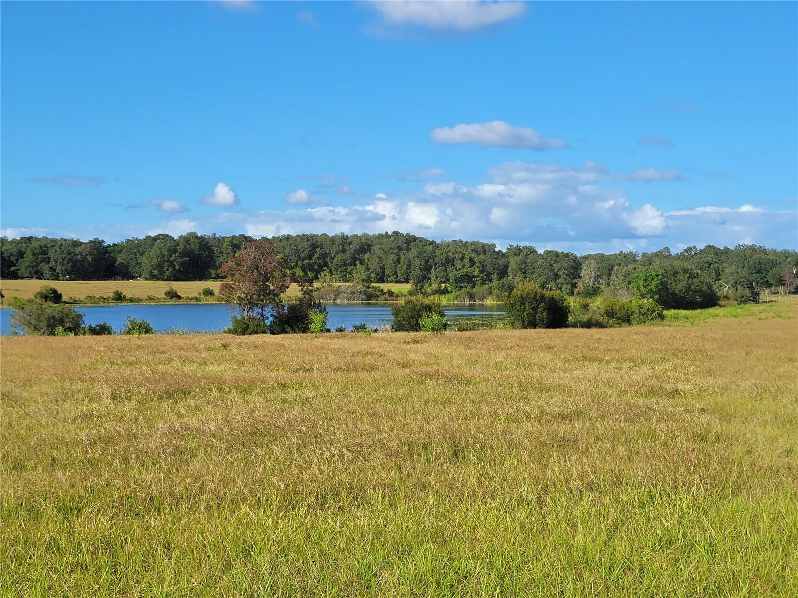 MOSS BLUFF RANCHES - Land