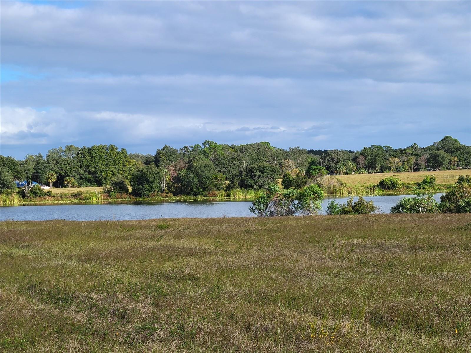 MOSS BLUFF RANCHES - Land