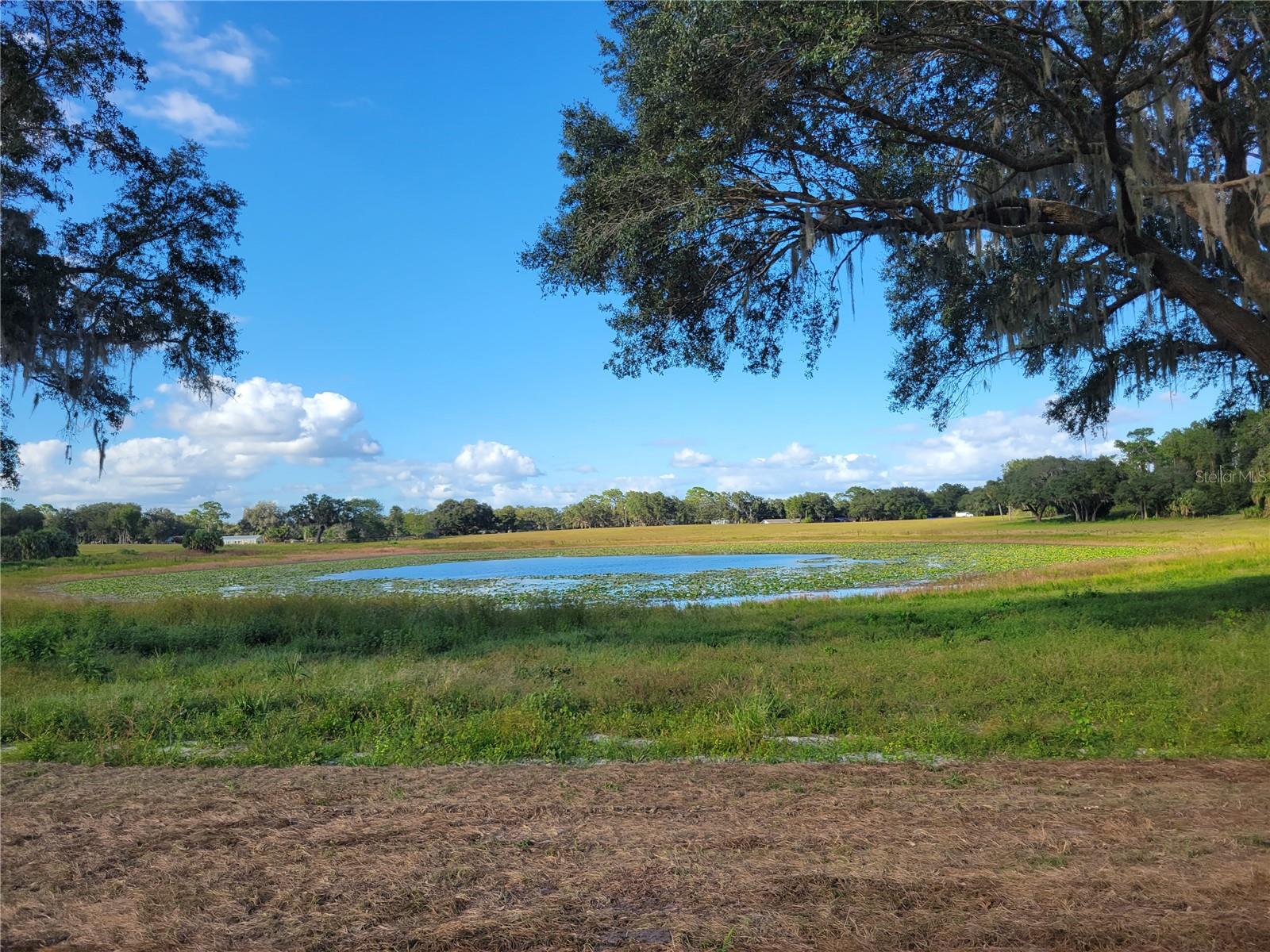 MOSS BLUFF RANCHES - Land