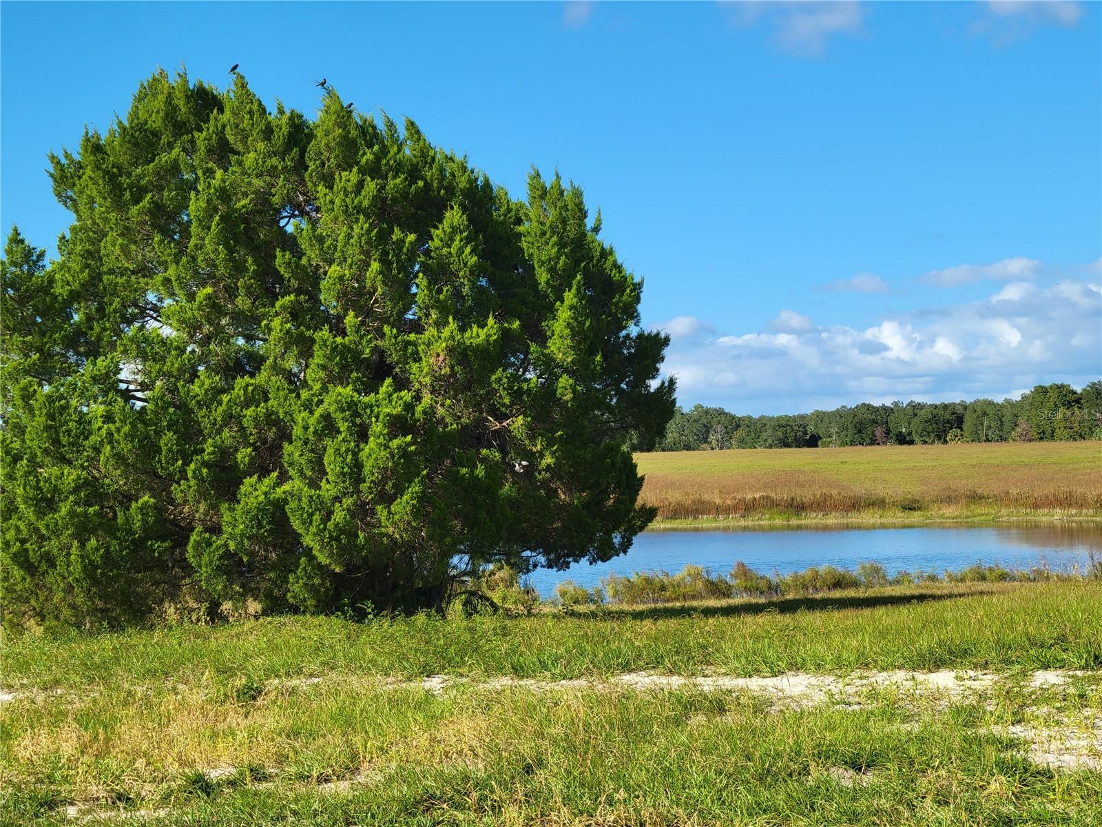 MOSS BLUFF RANCHES - Land