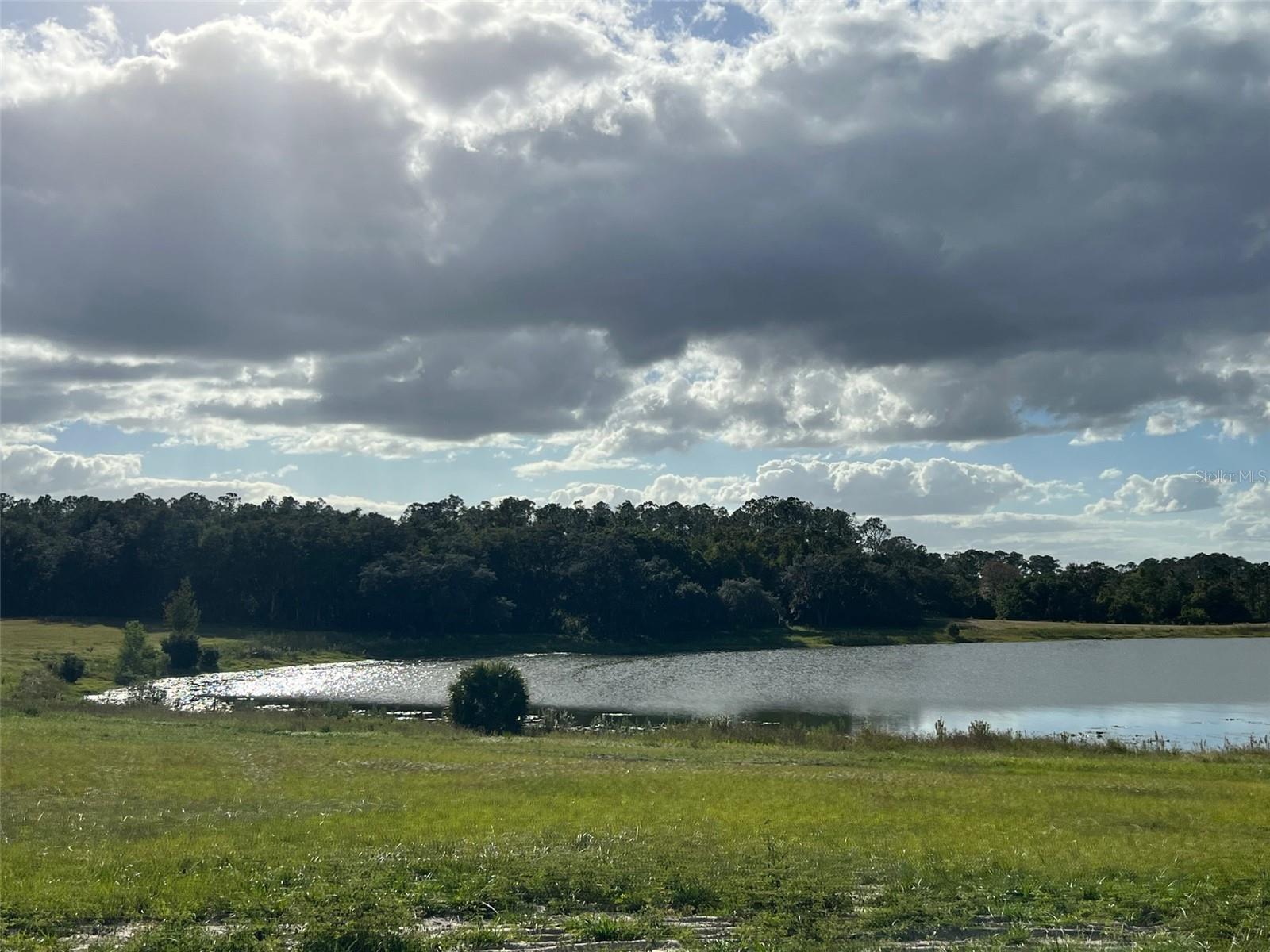 MOSS BLUFF RANCHES - Land