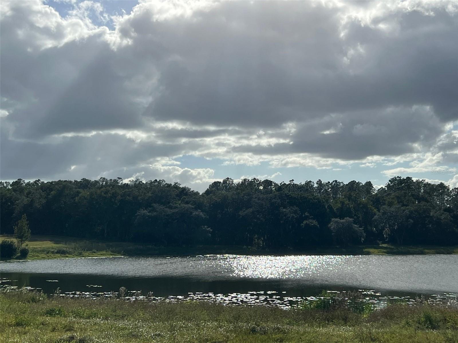 MOSS BLUFF RANCHES - Land