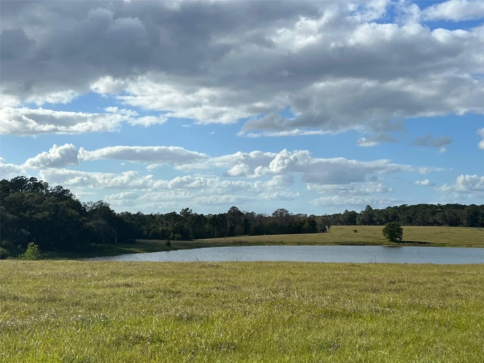 MOSS BLUFF RANCHES - Land
