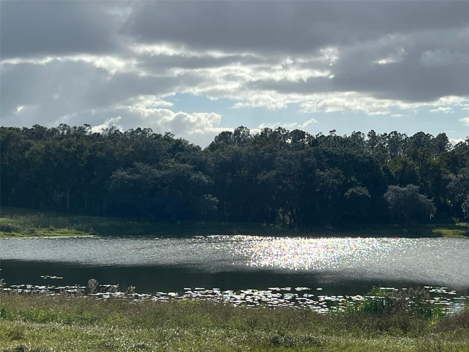 MOSS BLUFF RANCHES - Land