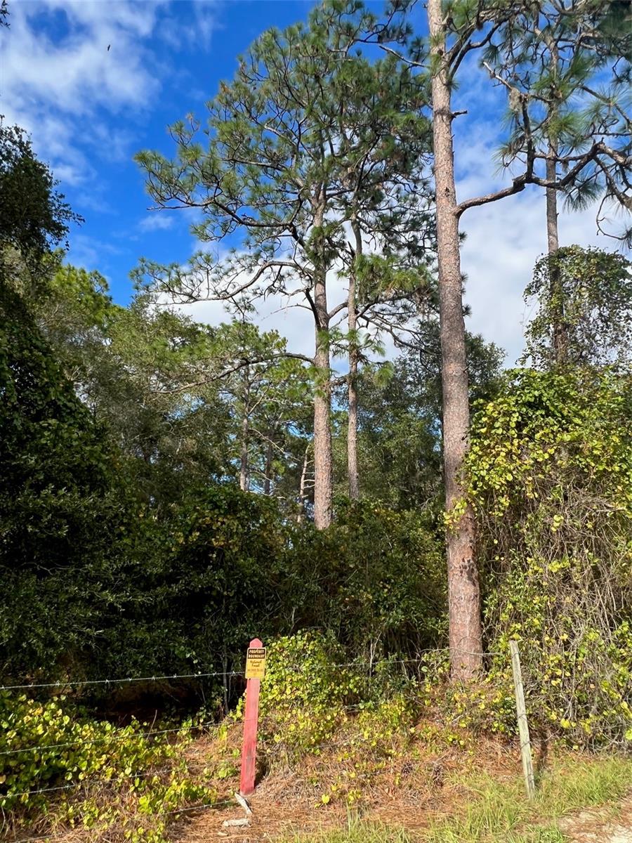 MOSS BLUFF RANCHES - Land