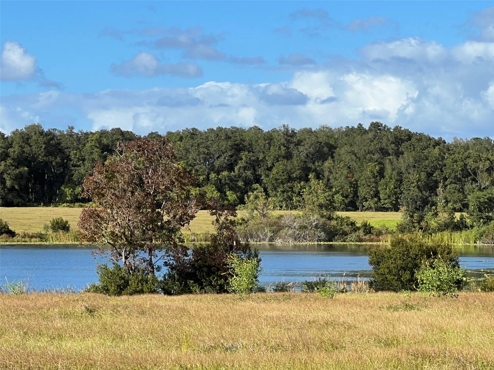 MOSS BLUFF RANCHES - Land