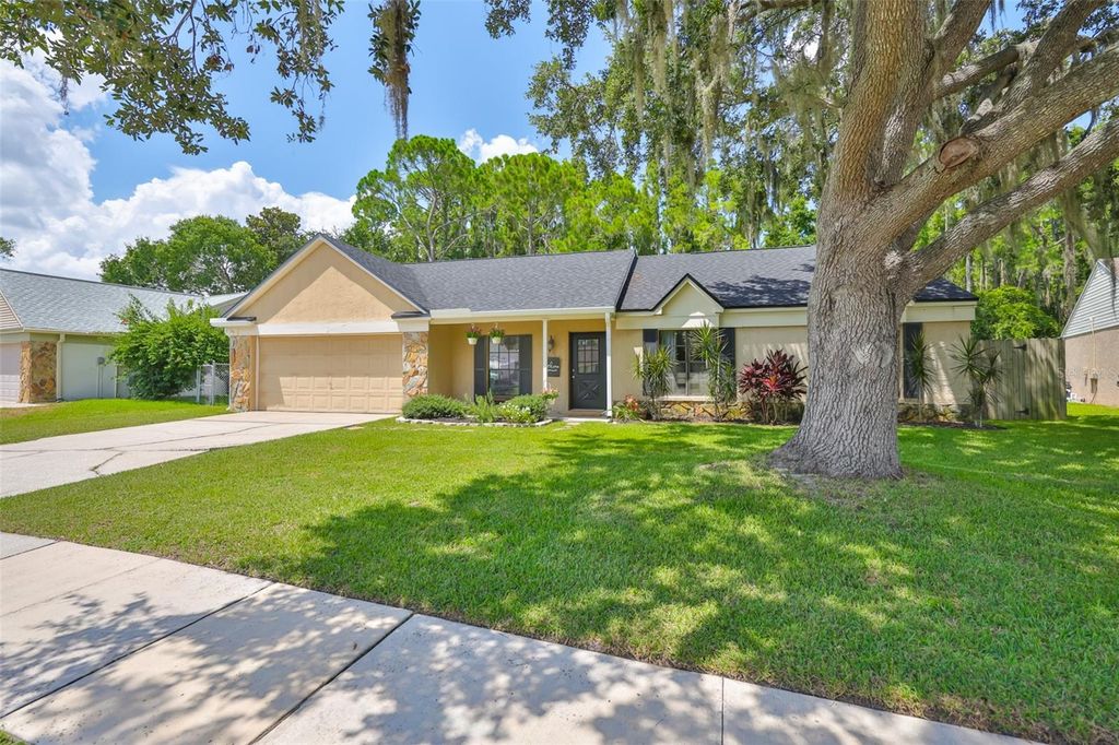 Photo of 3724 Murray Dale Drive, Valrico, FL 33596 (MLS # TB8415317)