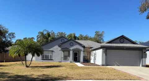 A home in VALRICO