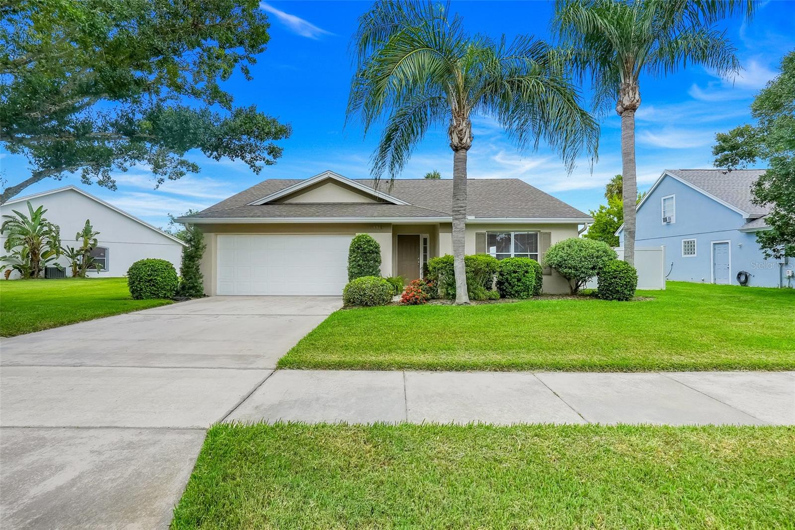 1019 BJ BRANDY COVE
