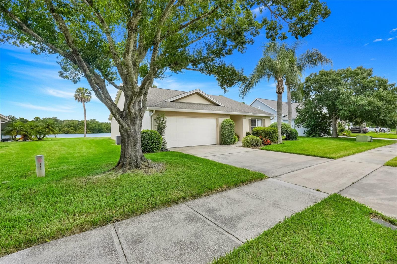 1019 BJ BRANDY COVE