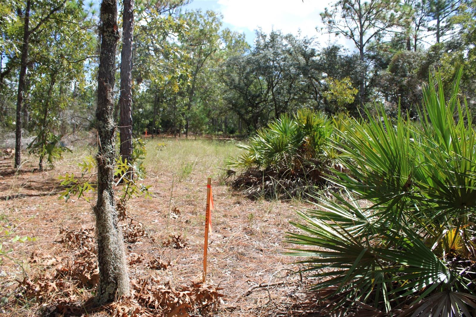 PINE RIDGE UNIT 01 - Residential