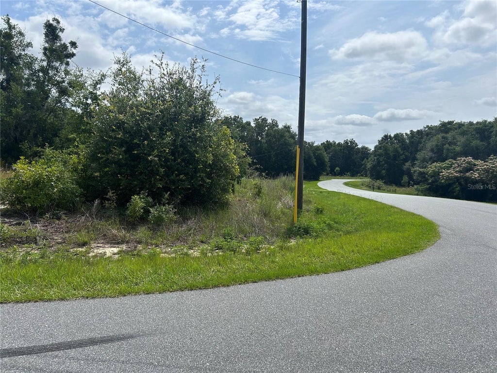 Photo of Tbd Larch Course Terrace, Ocala, FL 34480 (MLS # OM726277)