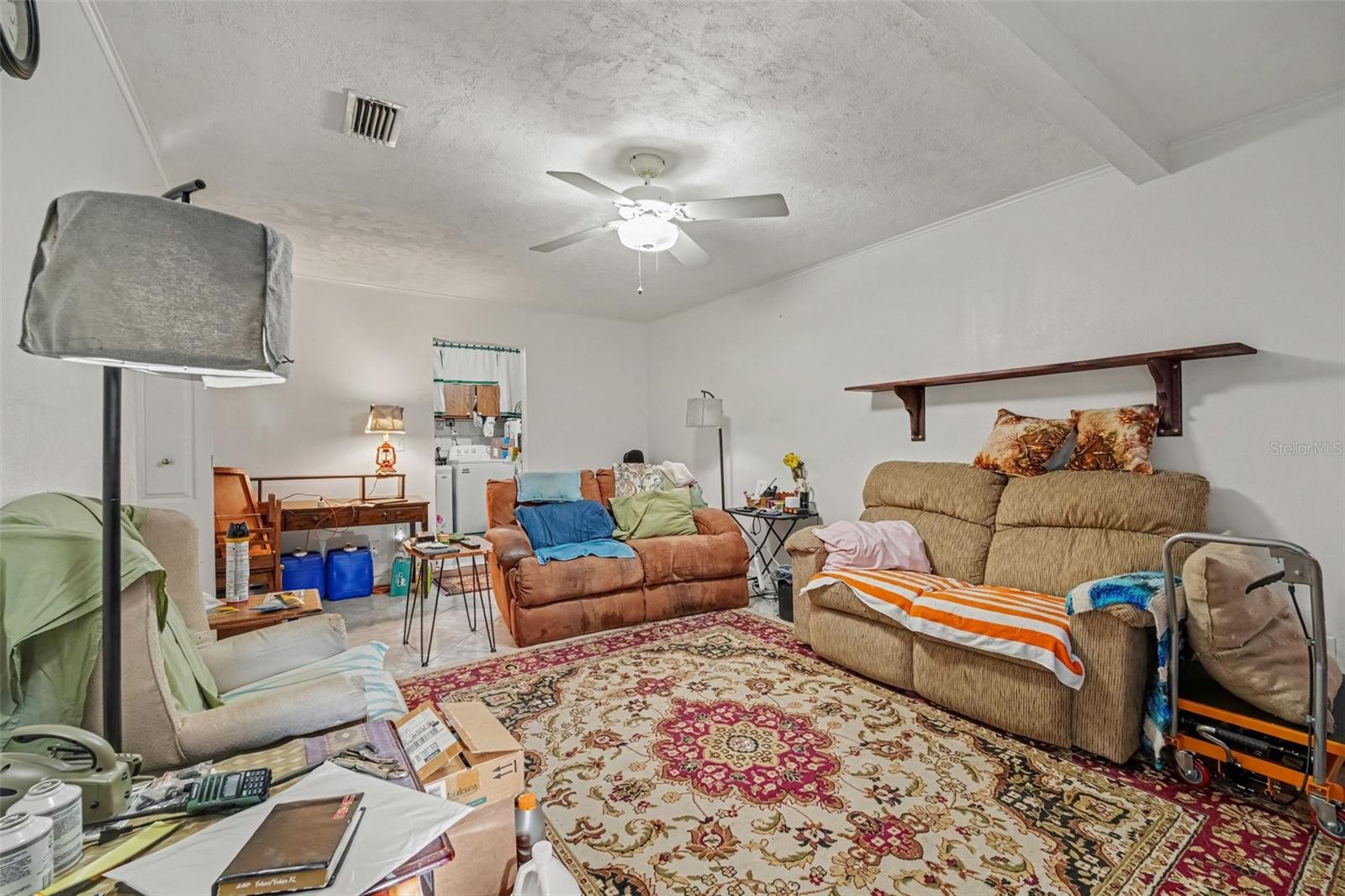 2440 DOLPHIN ROAD
