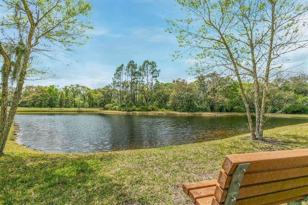 Photo of 121 Grand Ravine Drive #121, St. Augustine, FL 32086 (MLS # FC316134)