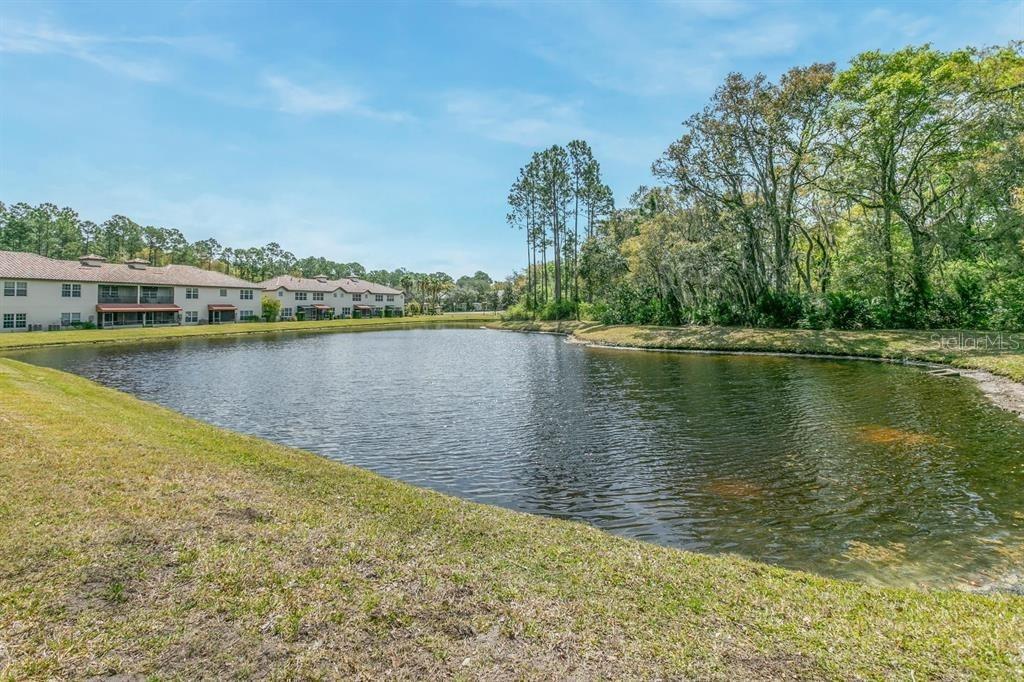 GRAND RAVINE - Residential