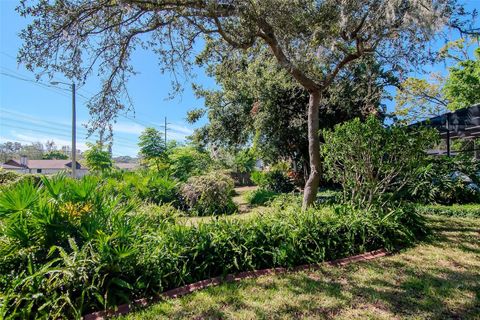 A home in PALM HARBOR