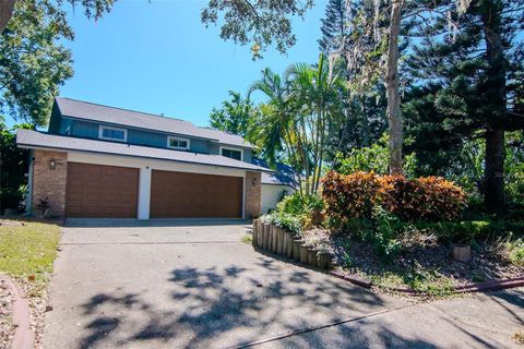 A home in PALM HARBOR