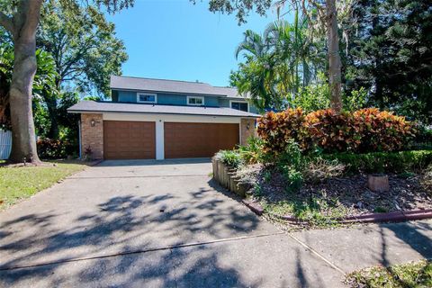 A home in PALM HARBOR