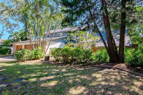 A home in PALM HARBOR