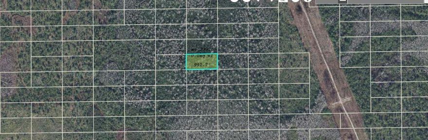 Property Description
UNRECORDED PLAT OF ORANGE CO ACRES TRACT 13088 ALSO DESC AS S1/2 OF NE1/4 OF SE1/4 OF NE1/4 OF SW1/4 OF SEC 13-22-32
Vacant Residential. 
Note: buyers I emphasize the importance of conducting thorough due diligence to ensure that the property meets your expectations and requirements.