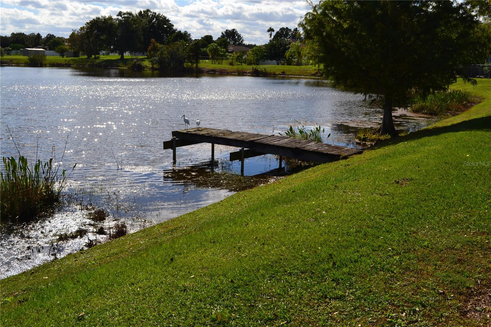 FOUNTAINS ON PLEASANT HILL ROAD UNIT 1 - Residential
