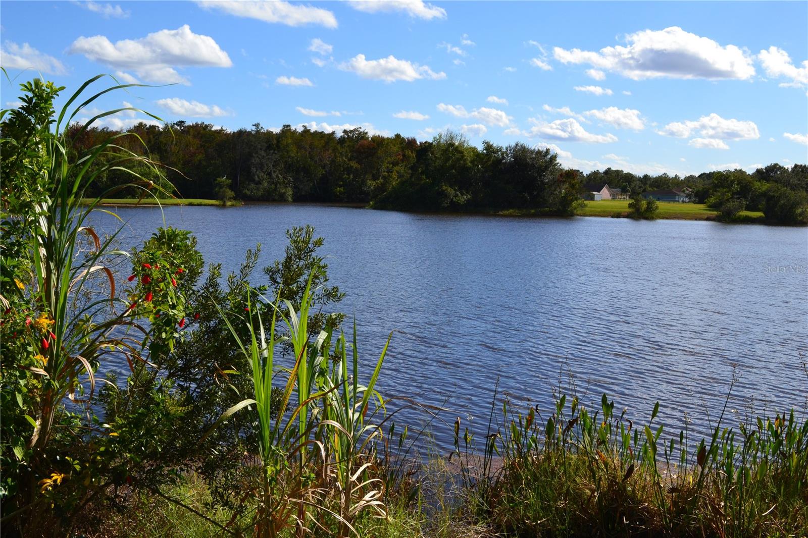 FOUNTAINS ON PLEASANT HILL ROAD UNIT 1 - Residential