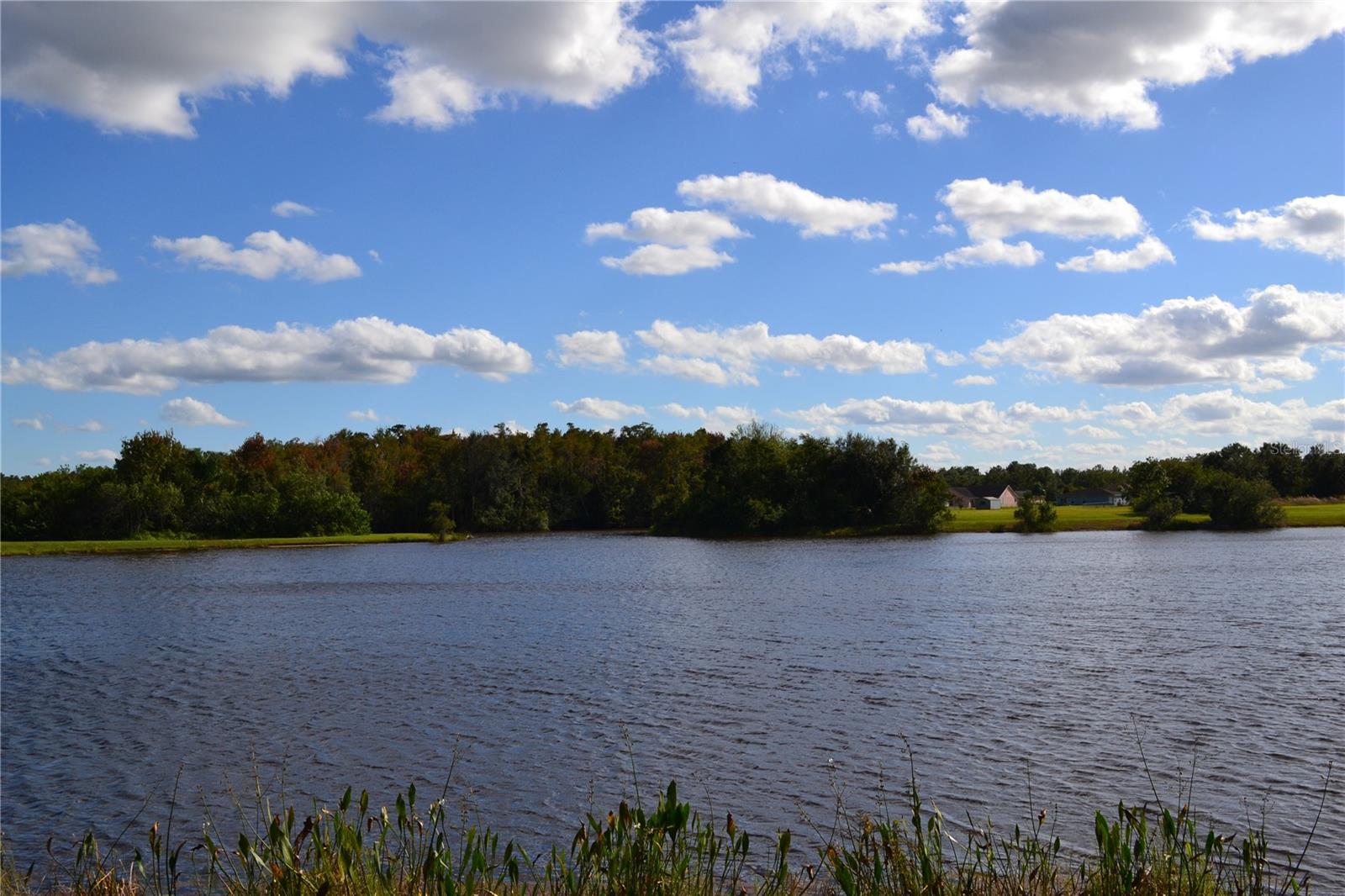 FOUNTAINS ON PLEASANT HILL ROAD UNIT 1 - Residential