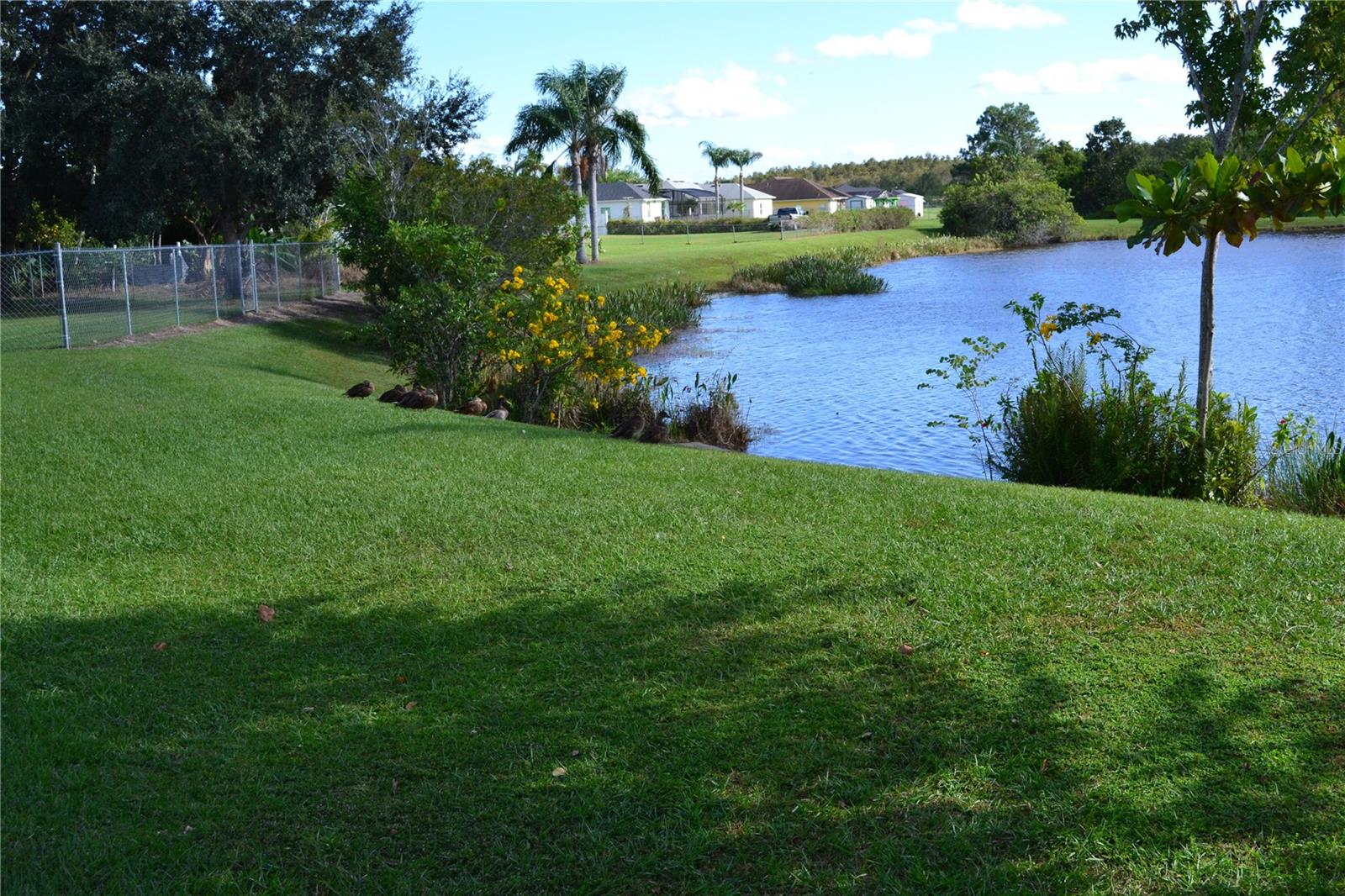 FOUNTAINS ON PLEASANT HILL ROAD UNIT 1 - Residential