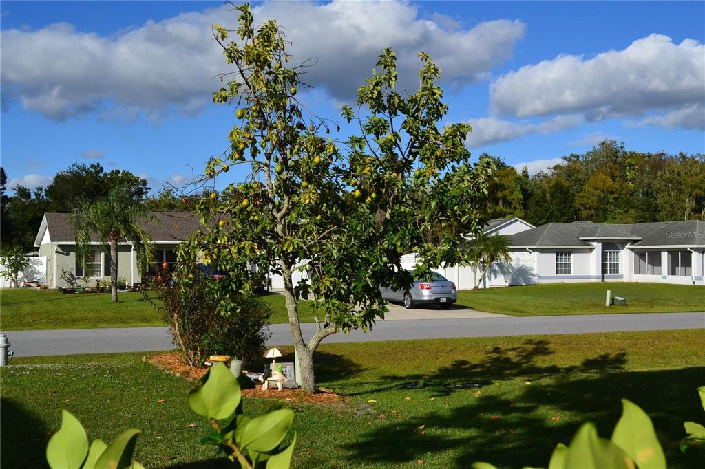 Photo of 3780 Fountainbleu Boulevard, Kissimmee, FL 34746 (MLS # O6357203)