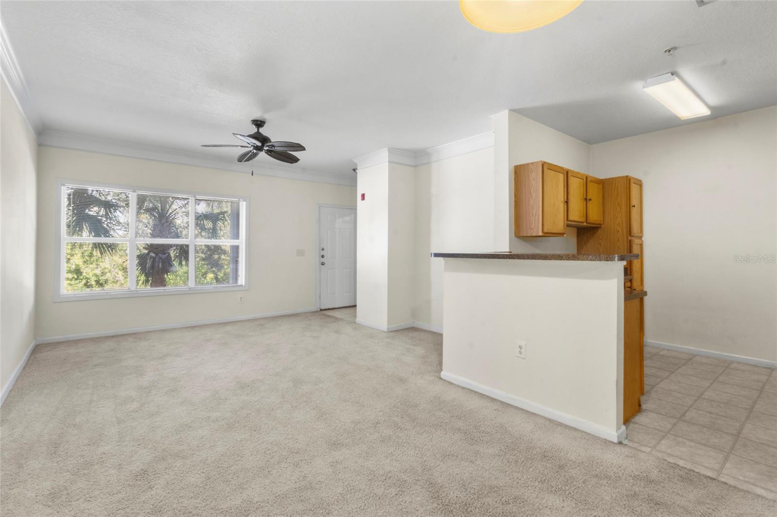 THE PALMS OF CORTEZ - Residential