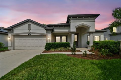 8320 BLUEVINE SKY DRIVE LAND O LAKES FL 34637