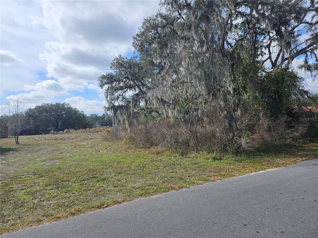 Photo of 34794 Orchid Parkway, Dade City, FL 33523 (MLS # TB8457162)