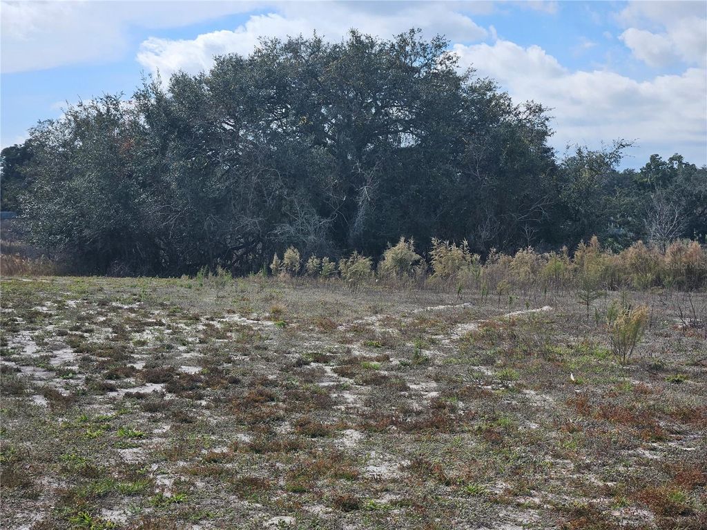 Photo of 34794 Orchid Parkway, Dade City, FL 33523 (MLS # TB8457162)