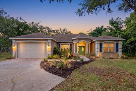 Photo of 12040 Centralia Road, Weeki Wachee, FL 34614 (MLS # W7885785)