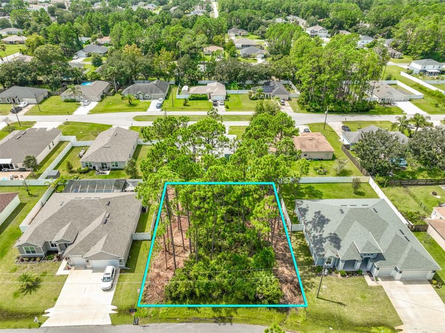 This gorgeous property is now available. Build your Florida dream home. No timeframe to build! Choose your own builder. Lindsay Drive is located in the very desirable Matanzas Woods subdivision of Palm Coast. It is located with easy access to I95 and US1, providing you with a convenient commute in any direction. Palm Coast is situated on the East Coast of Florida, approximately 1 hour South of Jacksonville, 30 minutes South of St Augustine, 30 minutes North of Daytona Beach and a little over an hour from Orlando! This makes it the perfect spot to build your next home! Enjoy everything this fantastic community has to offer. From walking & biking trails, golf courses & close proximity to the beach. This is what dreams are made of.