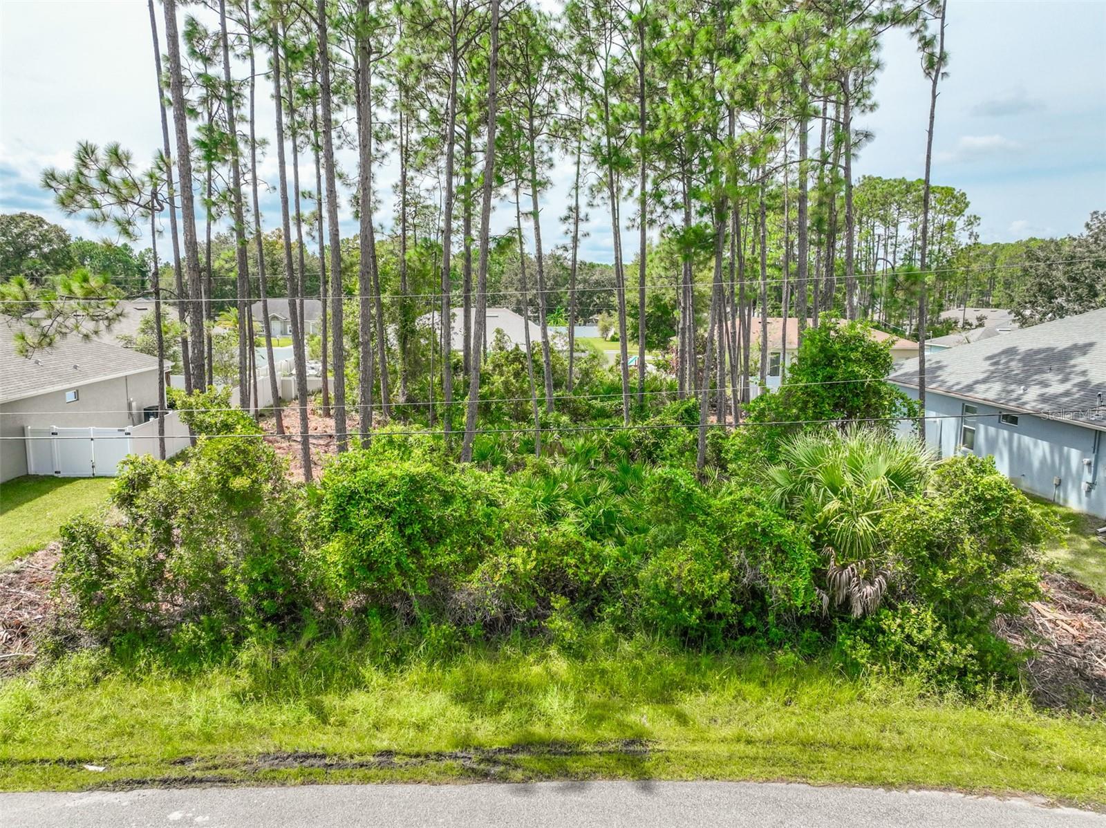 MATANZAS WOODS - Land