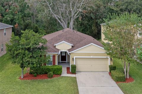 A home in TAVARES