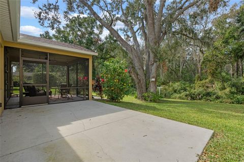 A home in TAVARES