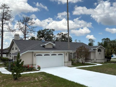 Photo of 12380 Tansboro Street, Spring Hill, FL 34608 (MLS # W7887603)