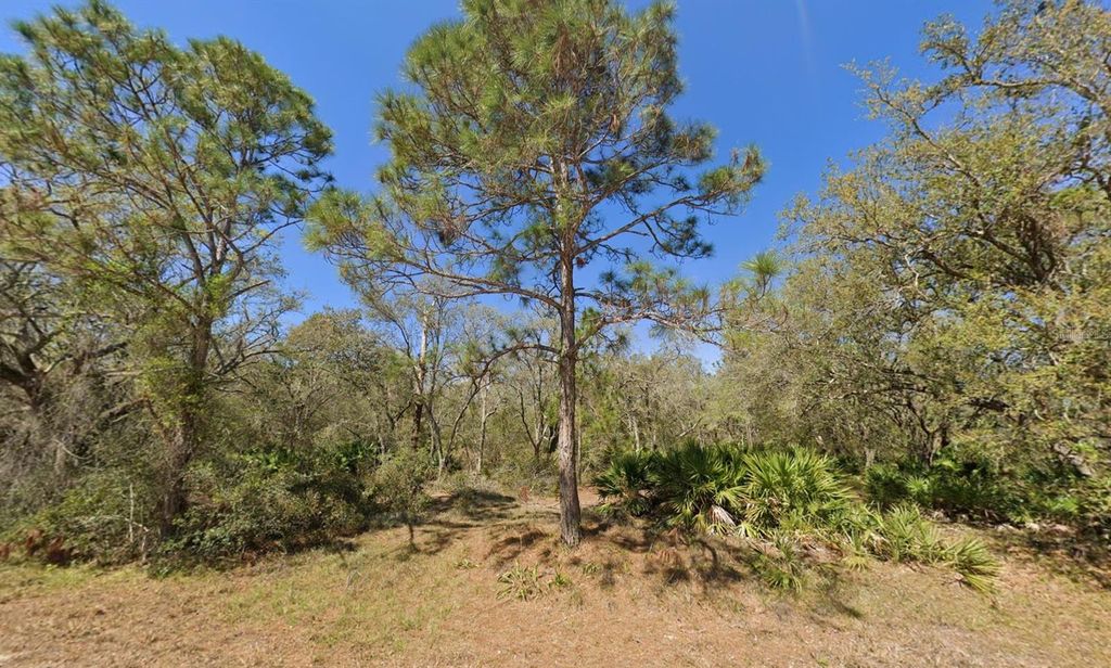 Photo of 852 Violet Drive, Lake Placid, FL 33852 (MLS # P4936264)