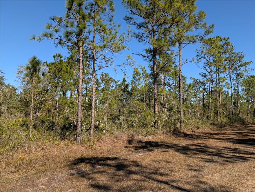 Come build your forever home on this one-half acre lot that located in the lake community of Indian Lake Estates, a golfing, fishing and boating community in the center of Florida.You can be out on Lake Walk in Water fishing in just minutes! Indian Lake Estates is about 20 miles east of Lake Wales. The community surrounds the 7,500 acre lake locally known as Lake Walk In Water, nationally known for its fishing and considered to be one of the best bass fishing lakes in all Florida. The lake has a beach, boat ramp, boat marina and the longest freshwater Fishing pier in the State of Florida. The pavilion is located at the front of the pier and is complete with propane grills and covered picnic tables. The community amenities include an 18-hole golf course, basketball and tennis courts, 23, 000 sq.ft. clubhouse, cafe, post office, churches, library, fitness room and pro shop. If you love nature and the peace and quiet of the country you're in luck. Wildlife is plentiful! You will see deer, raccoon, turkey, turtles, cranes and various species of birds that call Indian Lake Estates their home.
Orlando and Disney is only about an hour's drive north and Tampa, Busch Gardens, and the Gulf's pristine beaches only a little over an hour west. Historic Bok Tower, a National Landmark, is in nearby Lake Wales. The Westgate River Ranch Resort and Rodeo is just six miles away. An authentic Florida dude ranch and full-service resort offering guests the opportunity to experience "Old Florida." Encompassing 1,700 beautiful acres, Westgate River Ranch features horseback riding, wildlife airboat and swamp buggy rides, Saturday night championship rodeo, trap/skeet range, nature hikes, petting farm, marina, Adventure Park with zip line and rock climbing wall, Westgate Smokehouse Grill and River Ranch Saloon and much more. Cowboy-themed accommodations range from ranch-themed lodge guestrooms and deluxe lodge suites to spacious cottages, two-bedroom cabins, Glamping and Luxe Teepees. Come out and see how great life can be at Indian Lake Estates! Polk County's best kept secret!