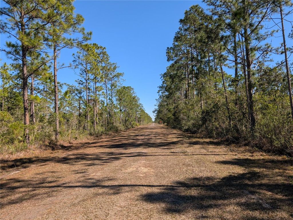 Photo of 206 Ixora Drive, Indian Lake Estates, FL 33855 (MLS # P4937478)