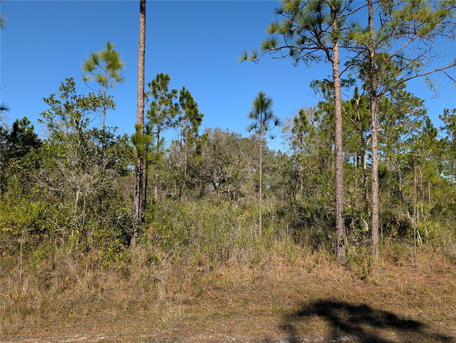 INDIAN LAKE ESTATES - Land